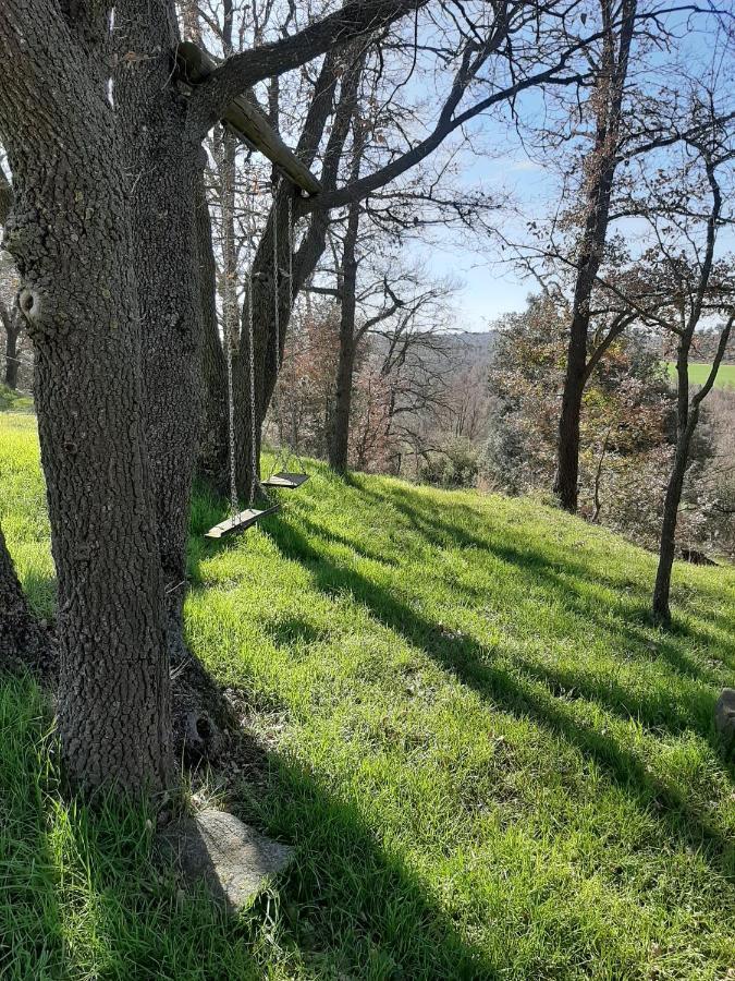 Allotjament Rural Solsona Exteriör bild