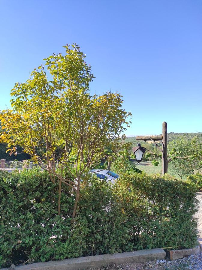 Allotjament Rural Solsona Exteriör bild